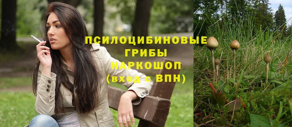 синтетический гашиш Медногорск
