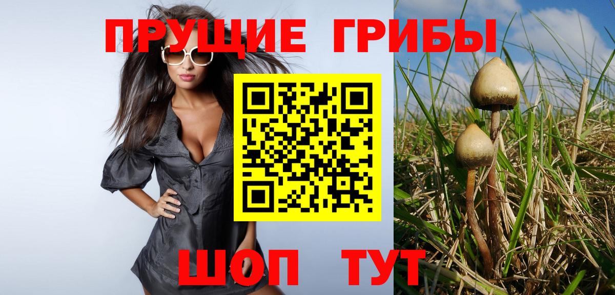 Псилоцибиновые грибы ЛСД Долгопрудный