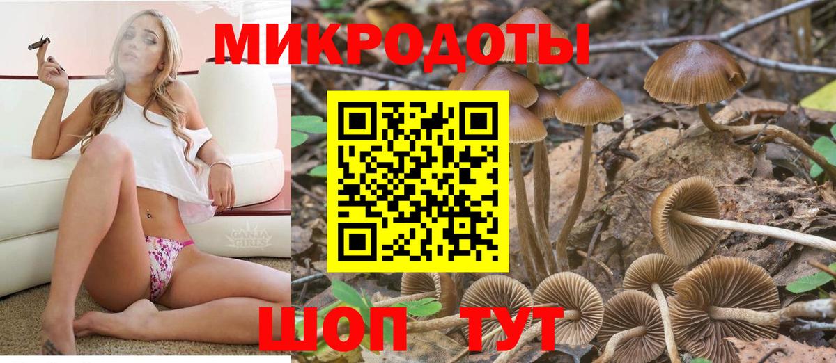 Долгопрудный  Галлюциногенные грибы Magic Shrooms  Псилоцибиновые грибы мухоморы  Вход с VPN 
