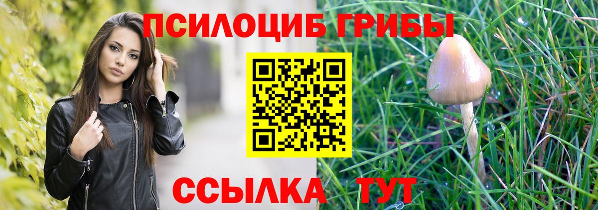 Галлюциногенные грибы Magic Shrooms  Долгопрудный 