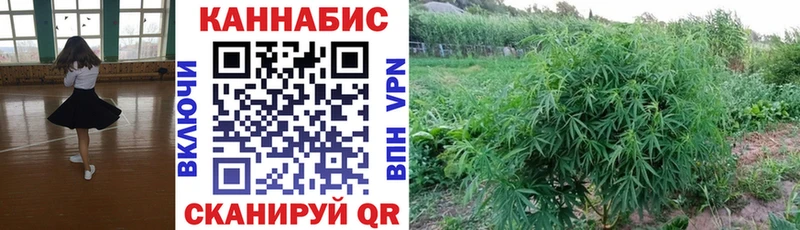 Шишки марихуана конопля  Долгопрудный 