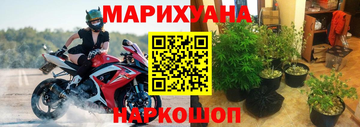 Бошки марихуана Amnesia  МАРИХУАНА MAZAR  Бошки марихуана план  Долгопрудный  МАРИХУАНА Ganja 